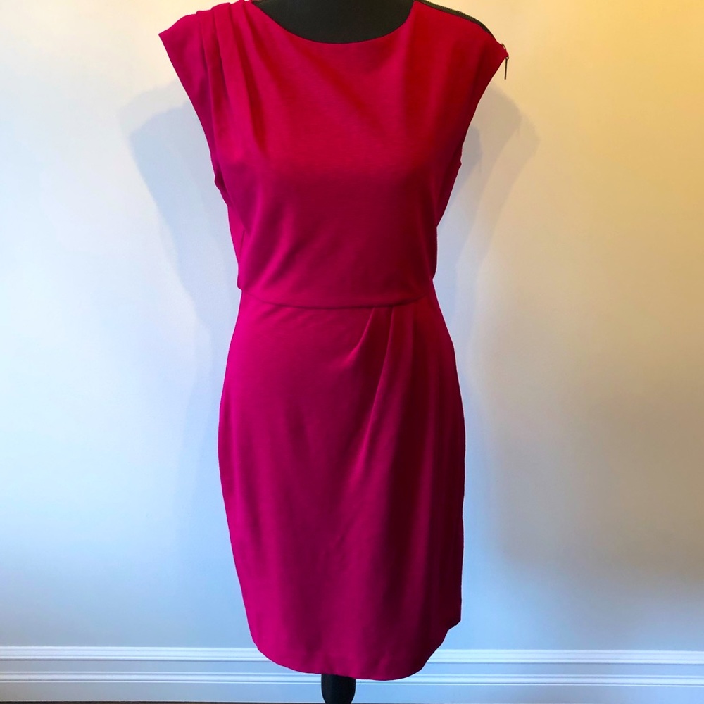 Diane Von Furstenberg Fuchsia Dress
